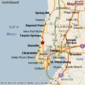 Palm harbor honda palm harbor florida #5
